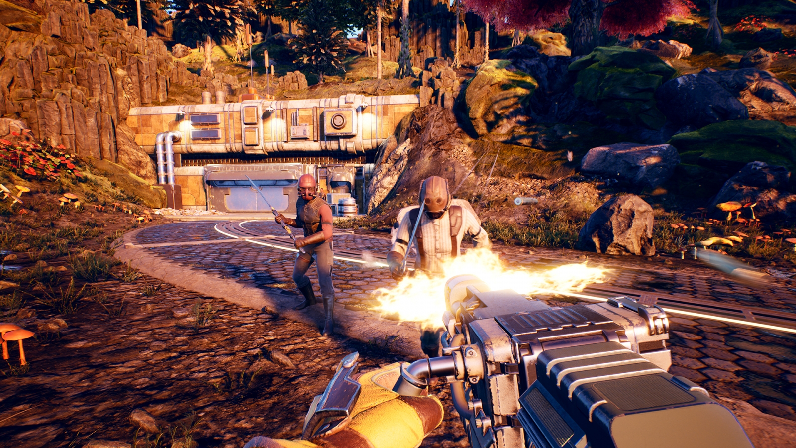 PS4 The Outer Worlds